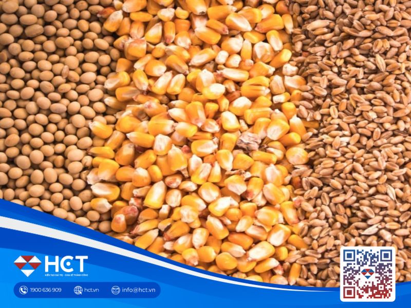 Tin tức nông sản ngày 29/8